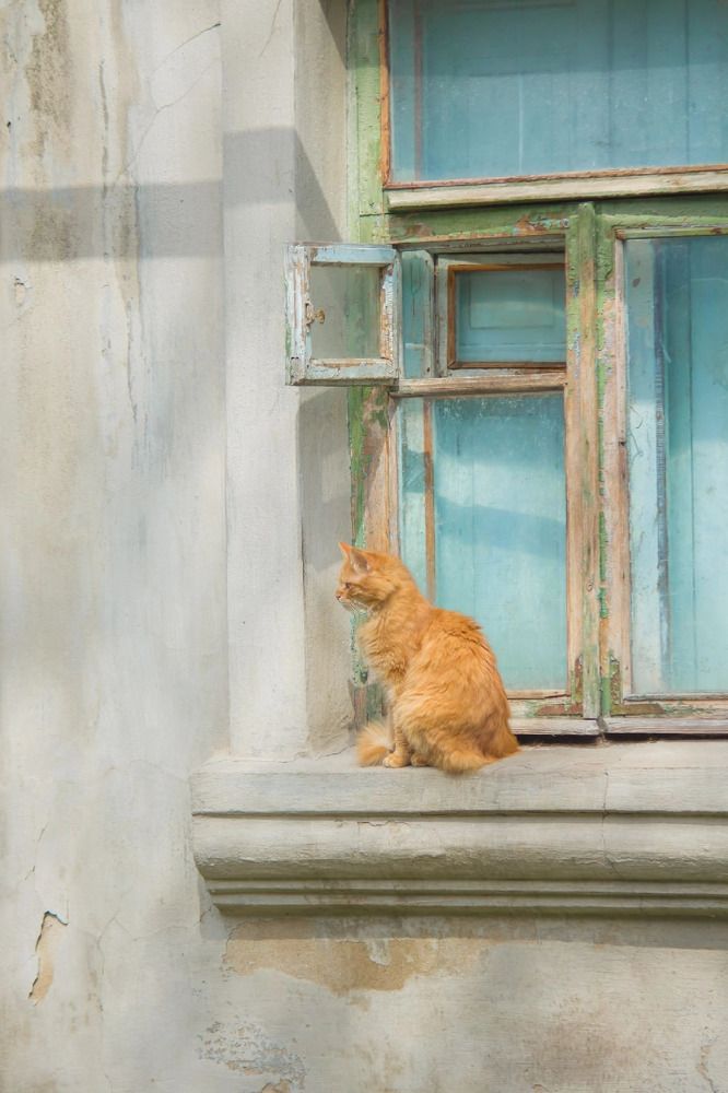 Фотография автора Наталья Вербина