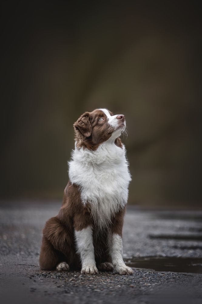 Photograph by Ирина Голомб