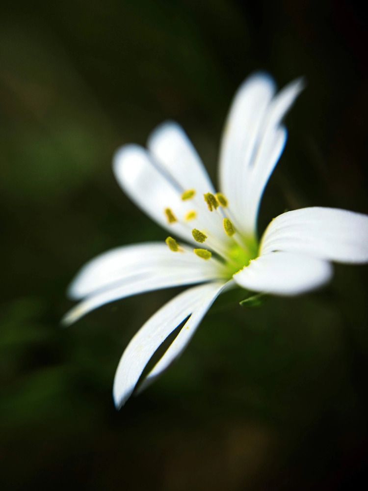 Photograph by Екатерина Одинцова