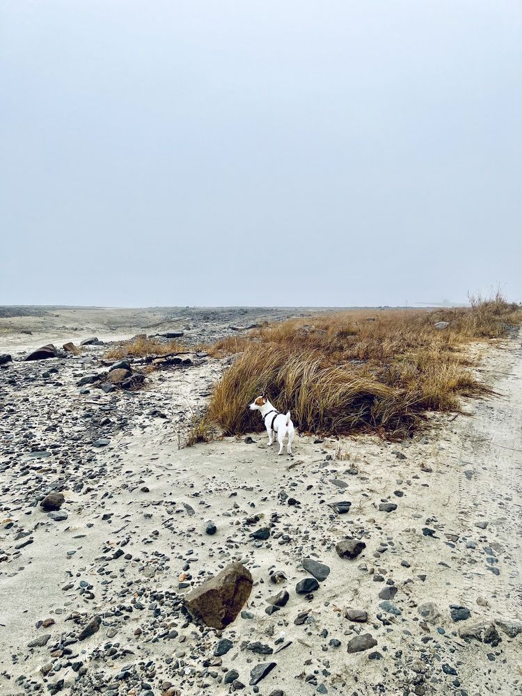 Photograph by Татьяна