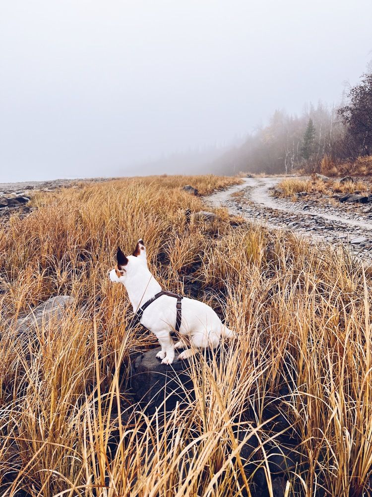 Photograph by Татьяна