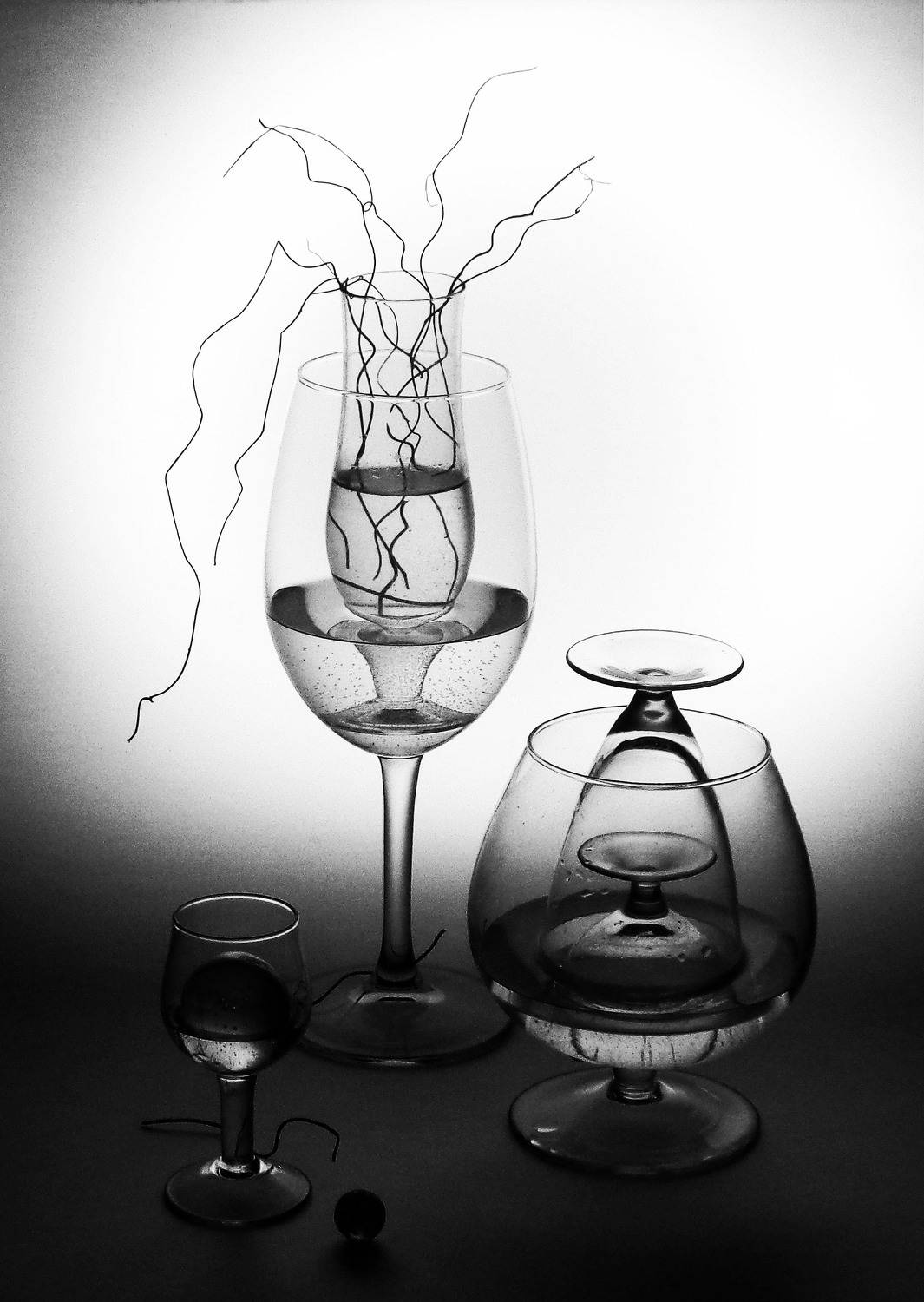 Photo #10303274
