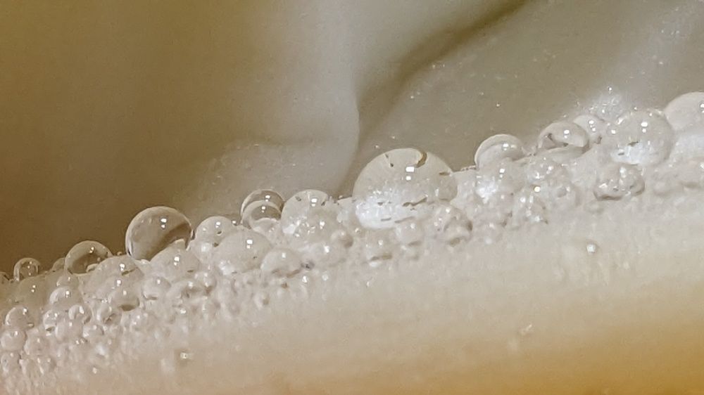 Photograph by Lilit Petrosyan