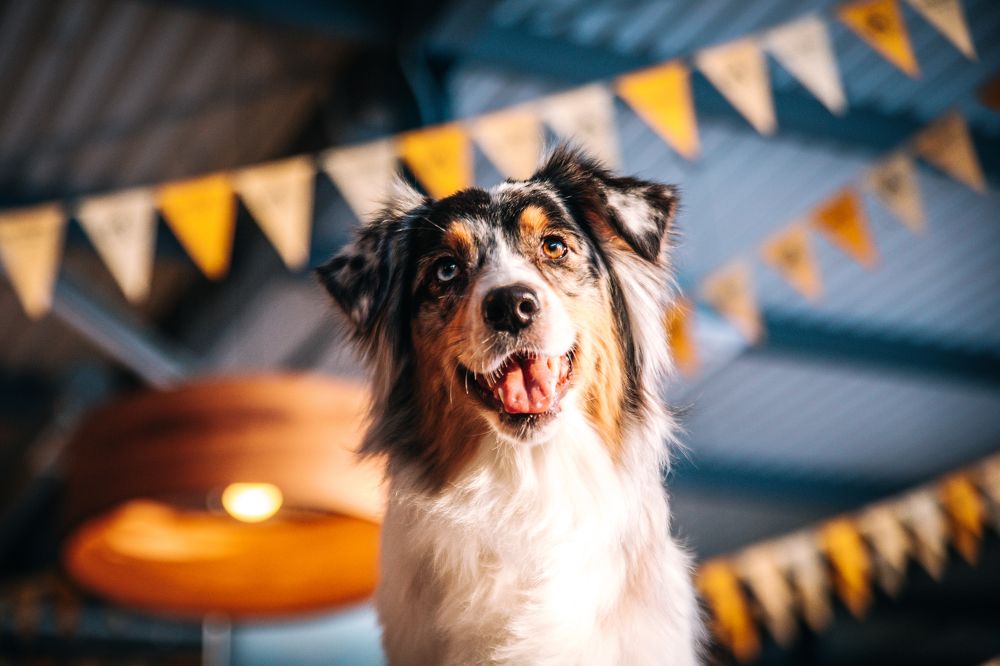 Photograph by Юлия Сухарева