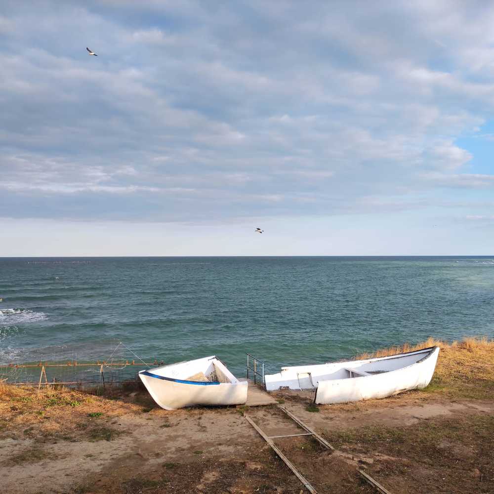 Photograph by rusenescu ramona