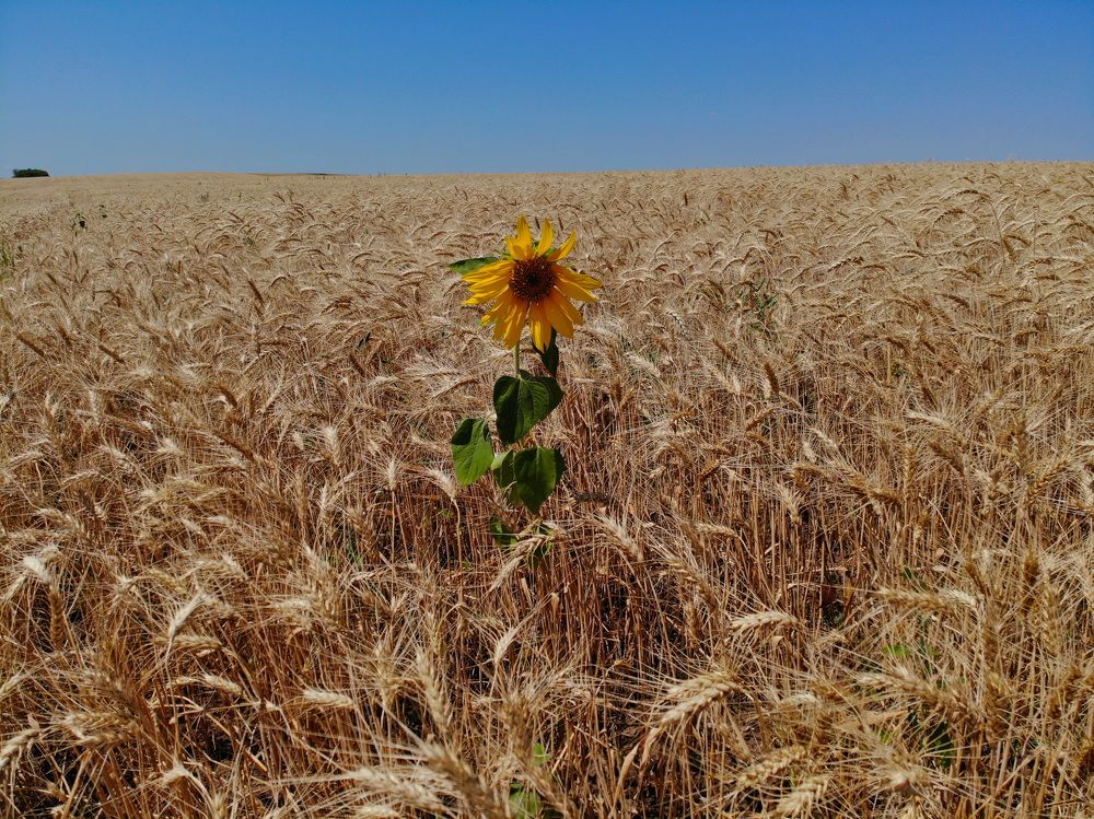 Photograph by Светлана Попкова