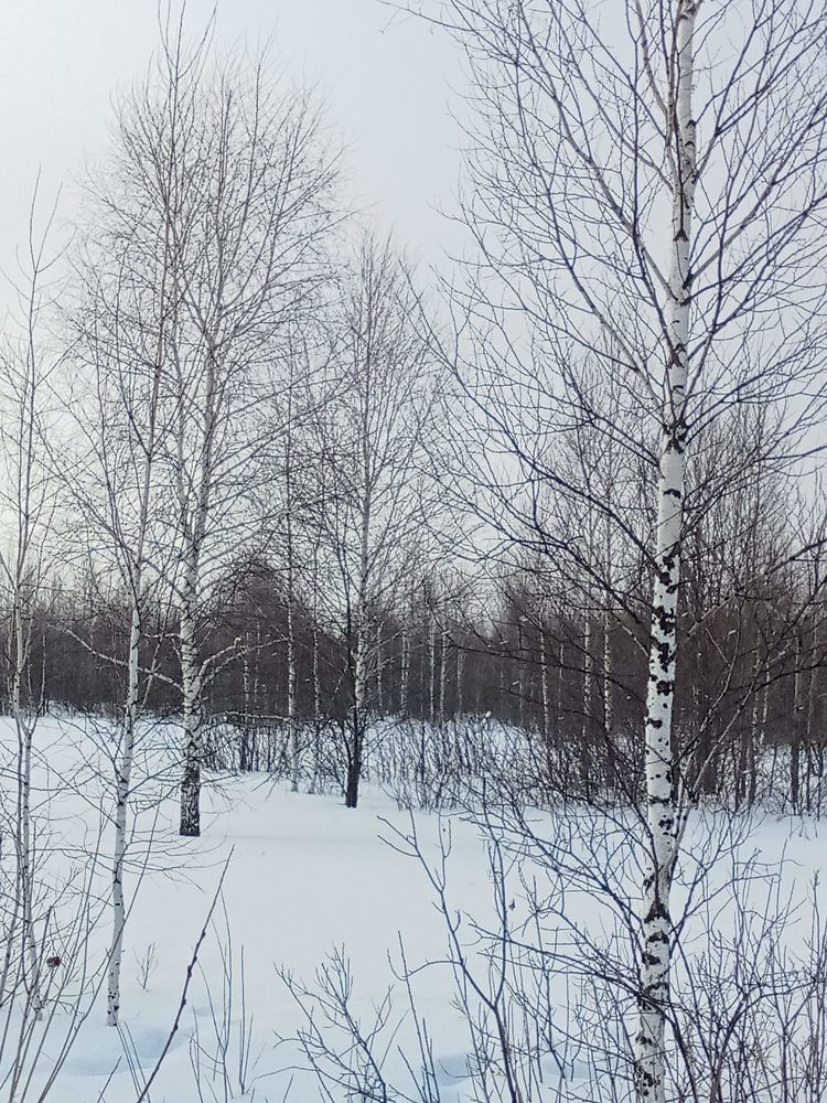 Photograph by Надежда Рулькова