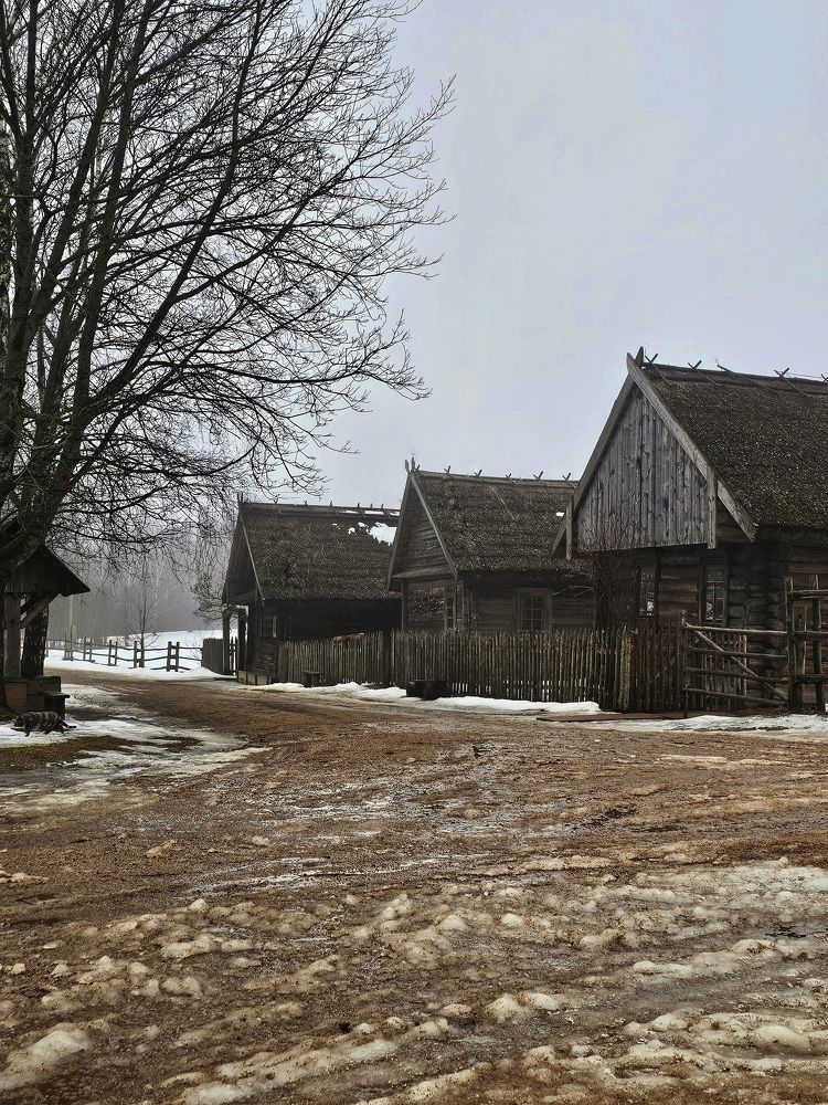 Фотография автора Мария Рудаковская