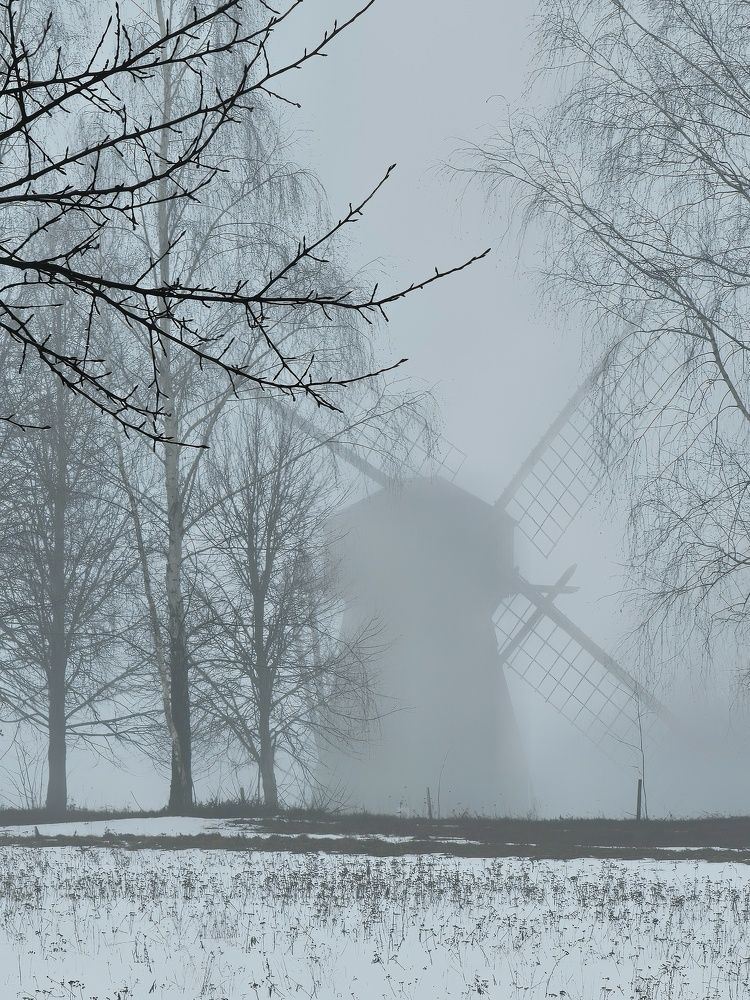Фотография автора Мария Рудаковская