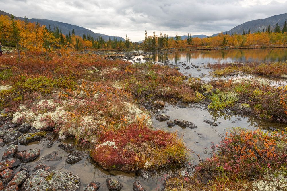 Photograph by Vladimir Bragilevsky