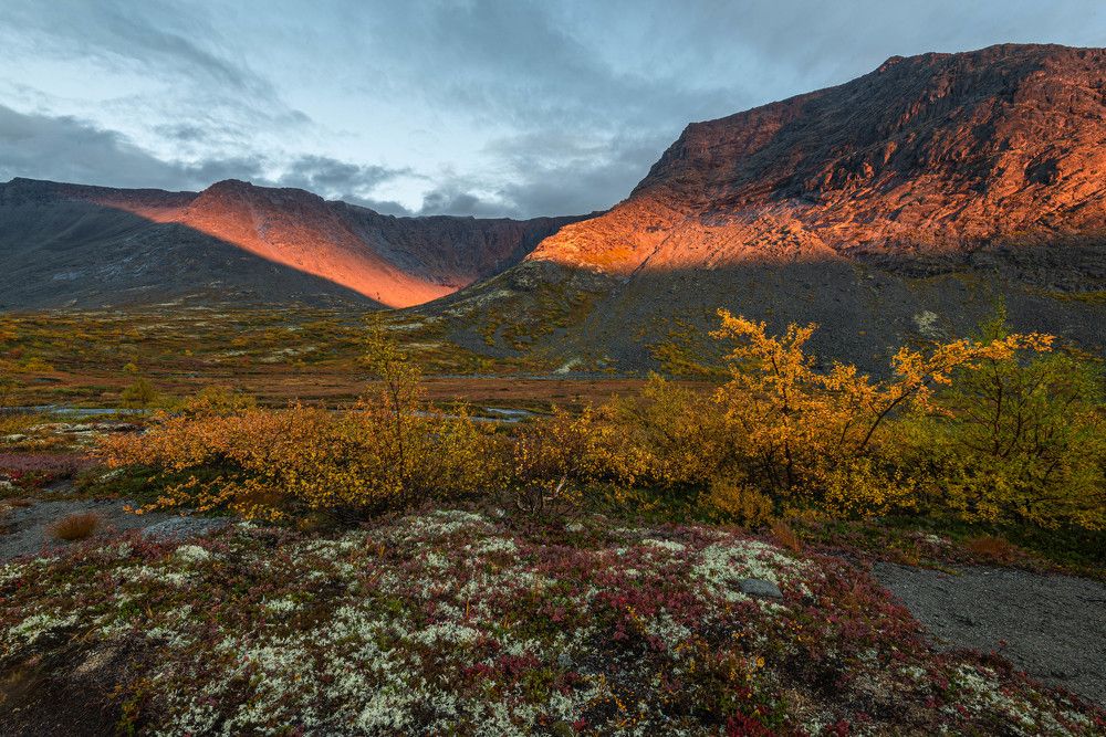 Photograph by Vladimir Bragilevsky