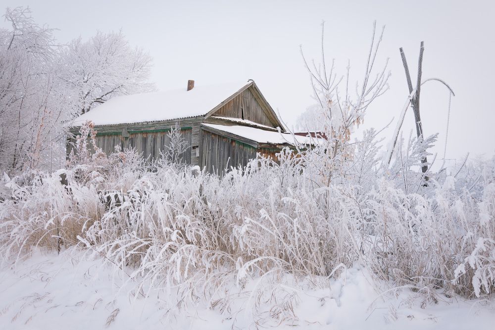 Photograph by Наталия Брянцева