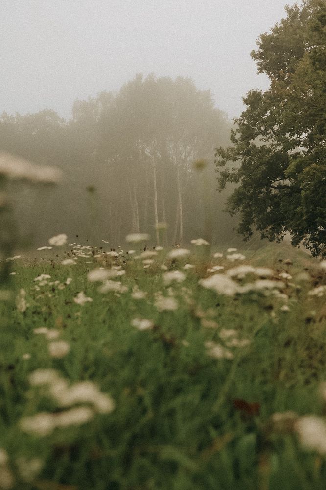 Photograph by Olga Fokin