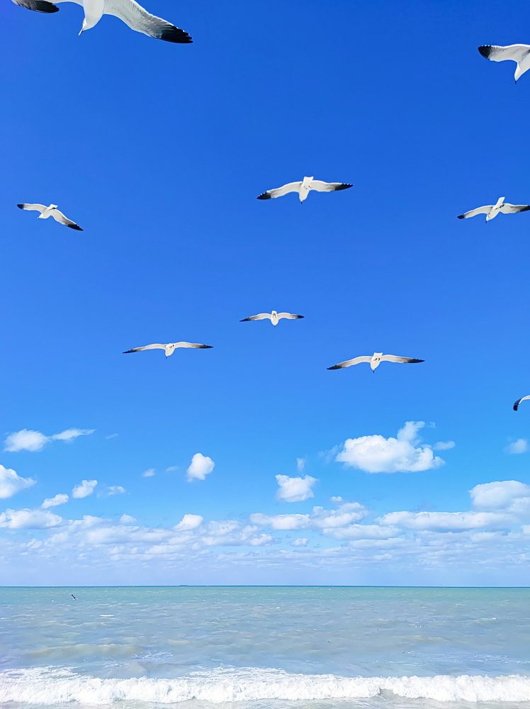 Photograph by Алексей Пирязев