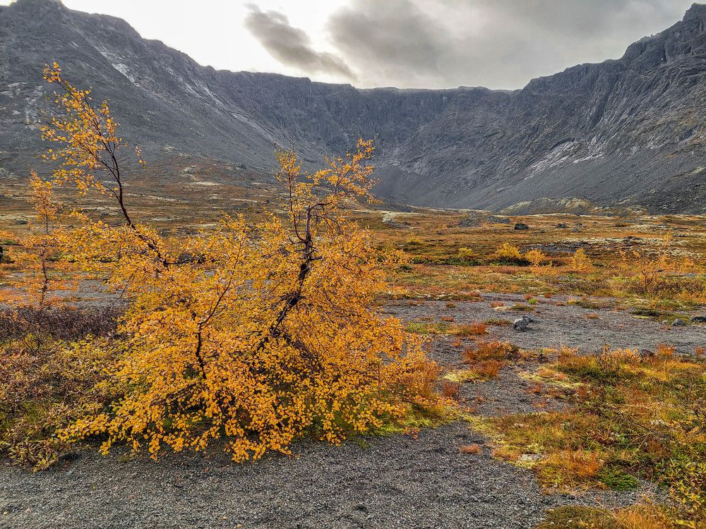 Photograph by Vladimir Bragilevsky