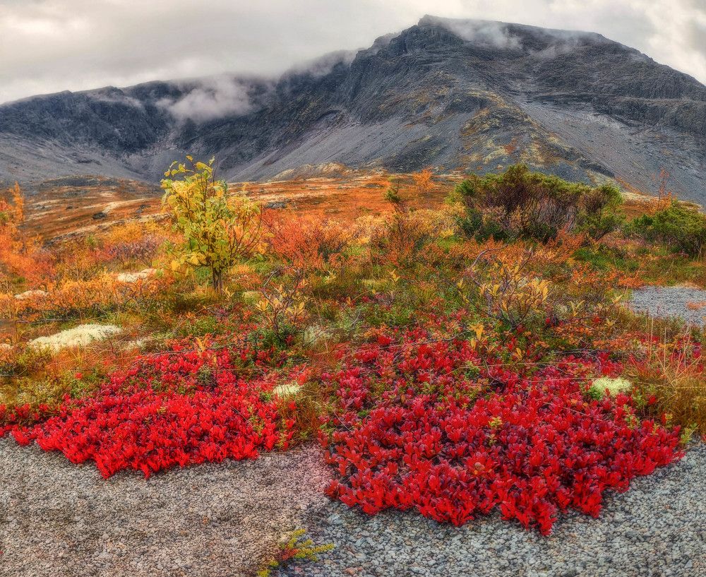 Photograph by Vladimir Bragilevsky