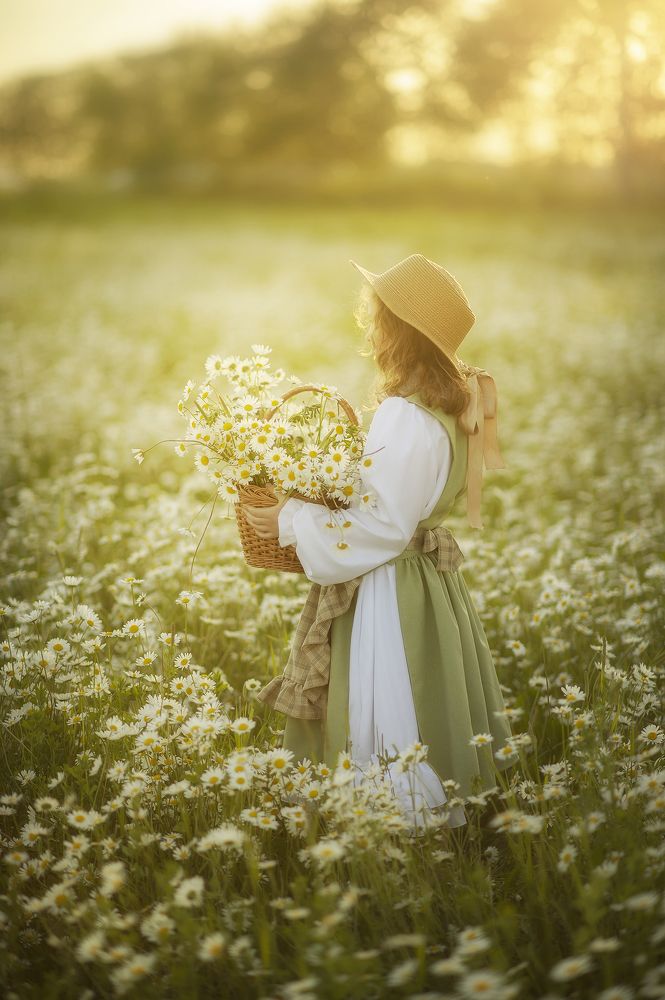 Солнечные ромашки