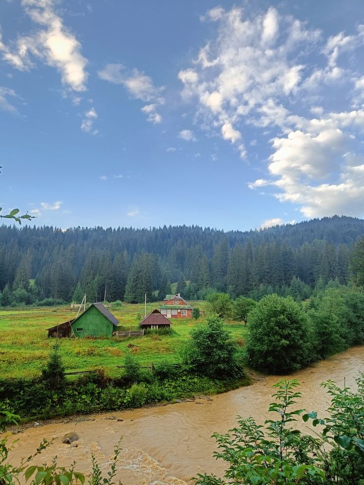 Photograph by Карина Слабкая