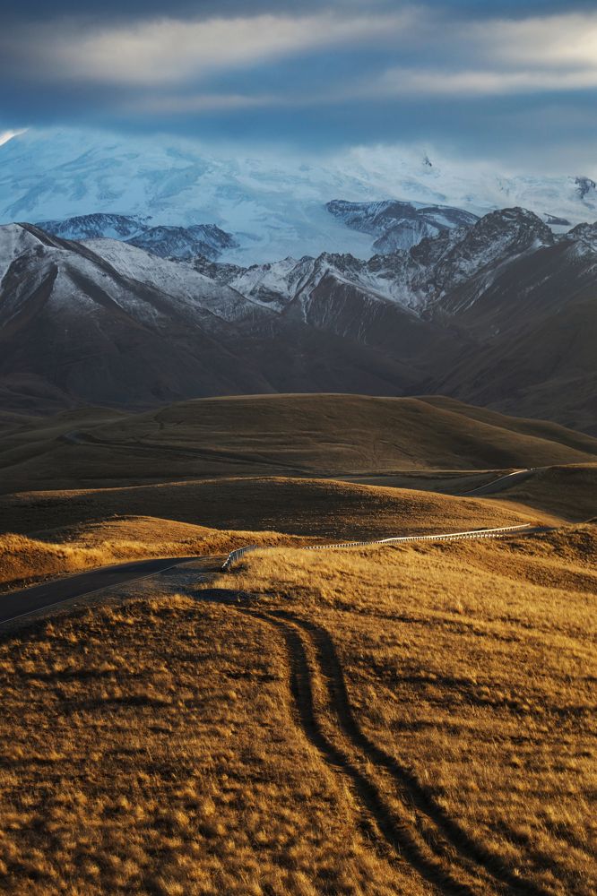 Фотография автора Елена Субботина