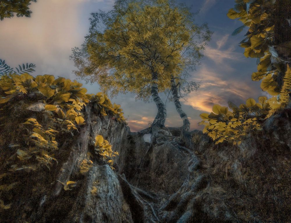 Фотография автора Холудеев Виктор