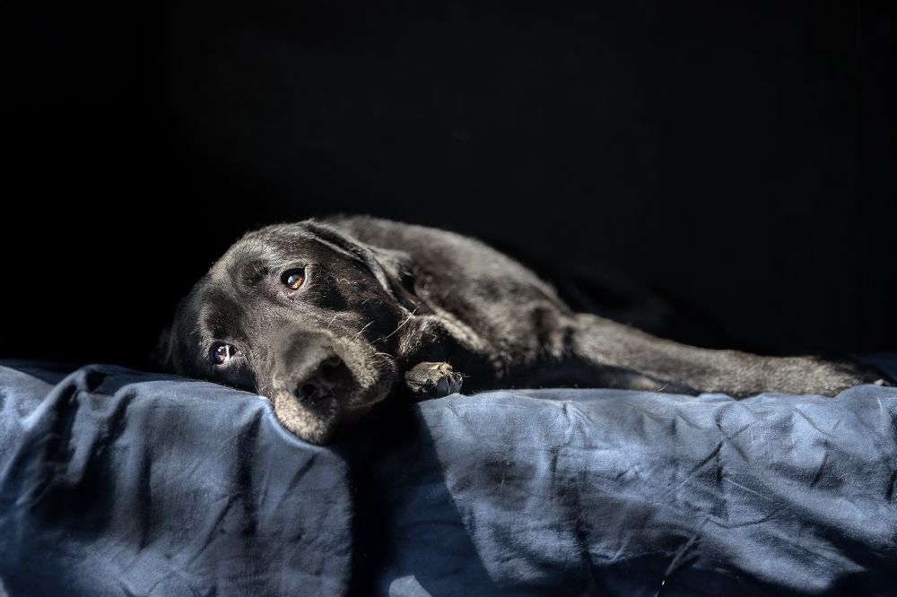 Photograph by Liu Lock