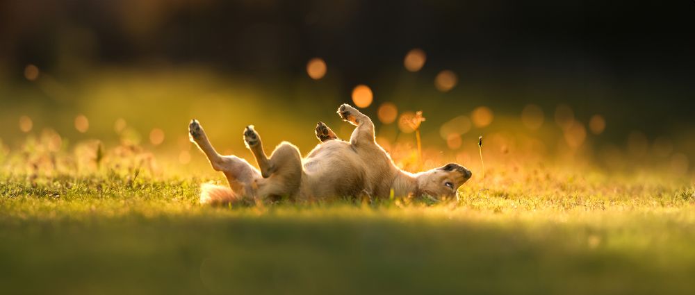 Photograph by Liu Lock