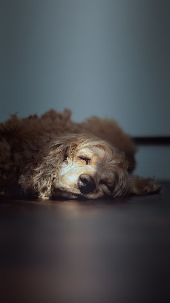 Photograph by Liu Lock