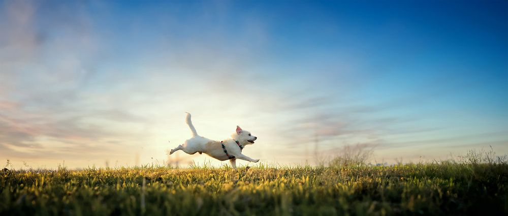 Photograph by Liu Lock