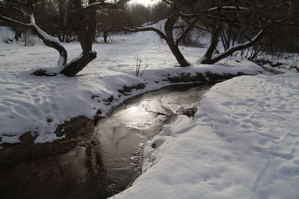 Photograph by Баринов Борис
