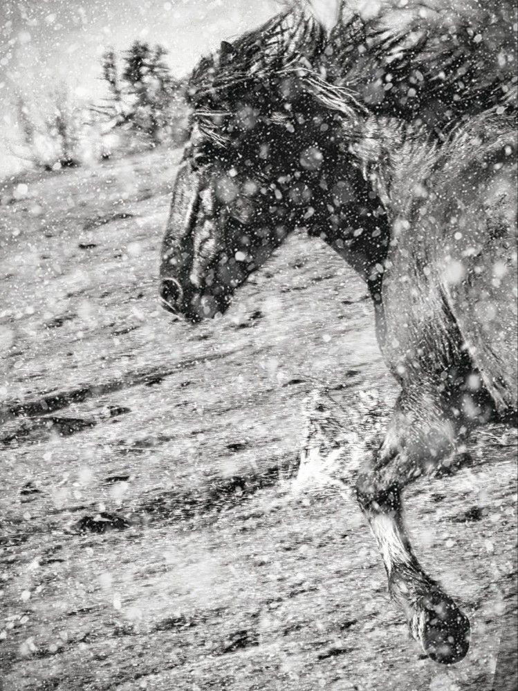 Photograph by Giuseppe Catalano