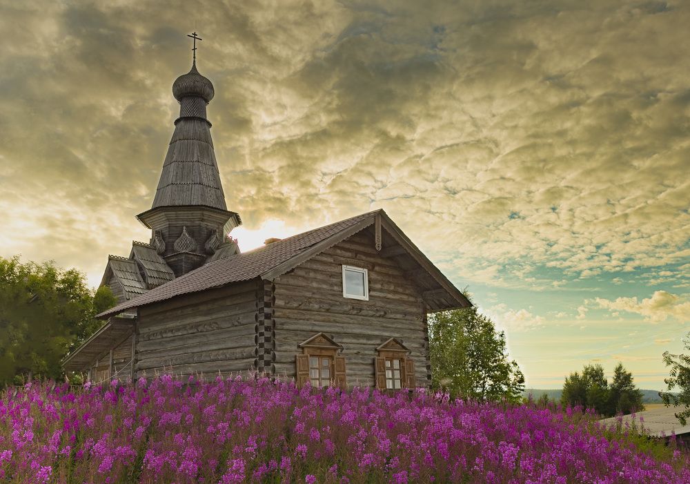 В селе Варзуга, среди кипрейных полей...
