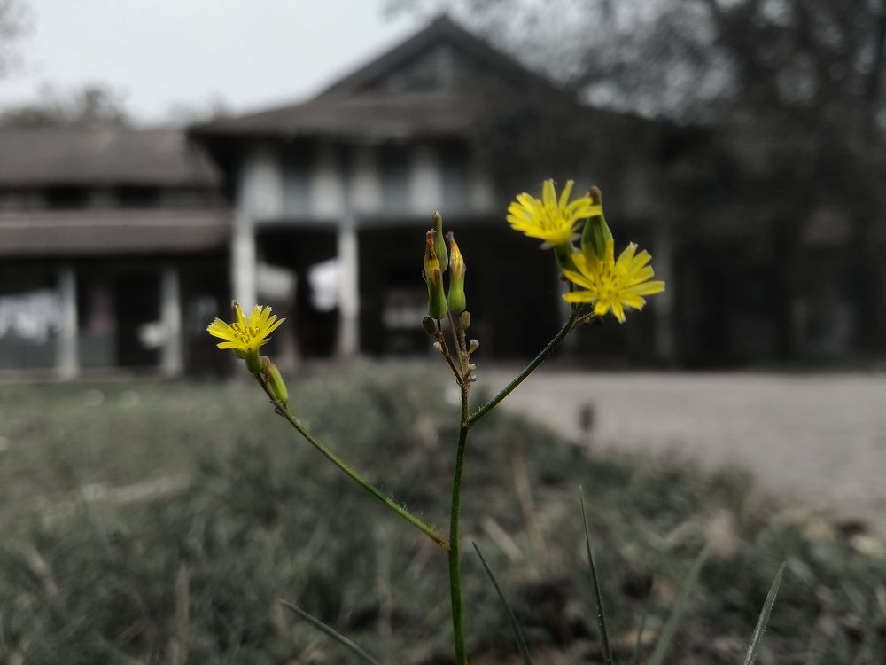 Photograph by Jahid Hasan Jamil