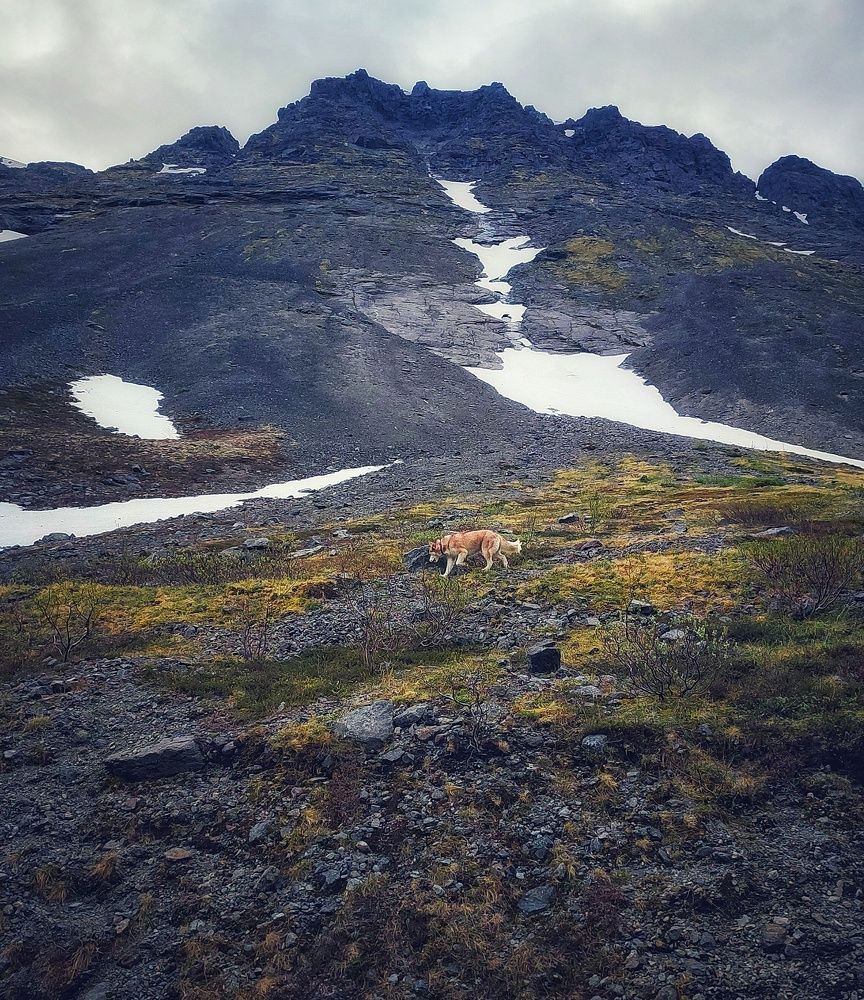 Фотография автора Ольга Сорокина