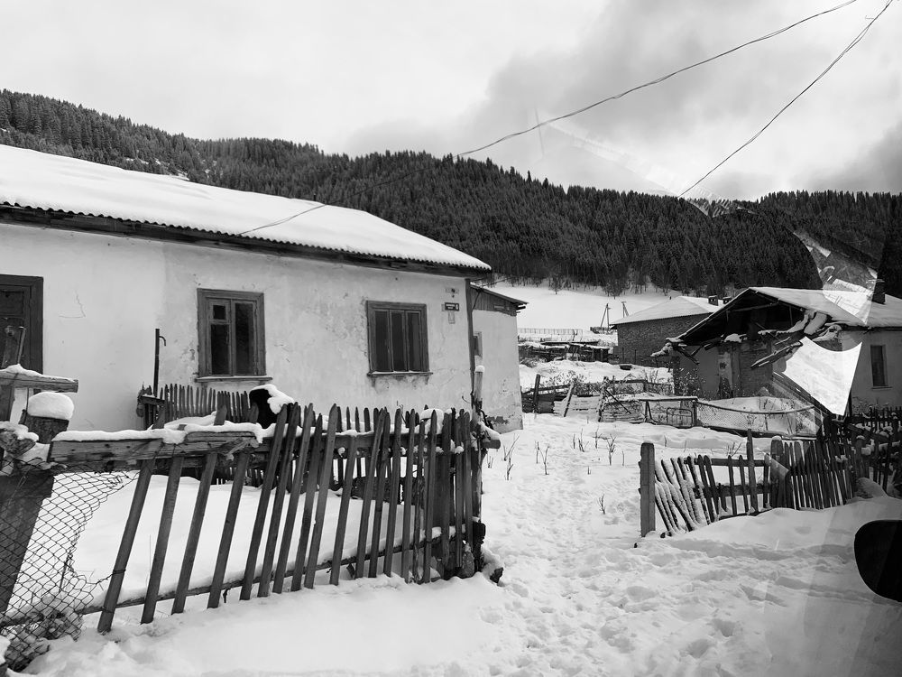 Photograph by Виталий Гибадулин