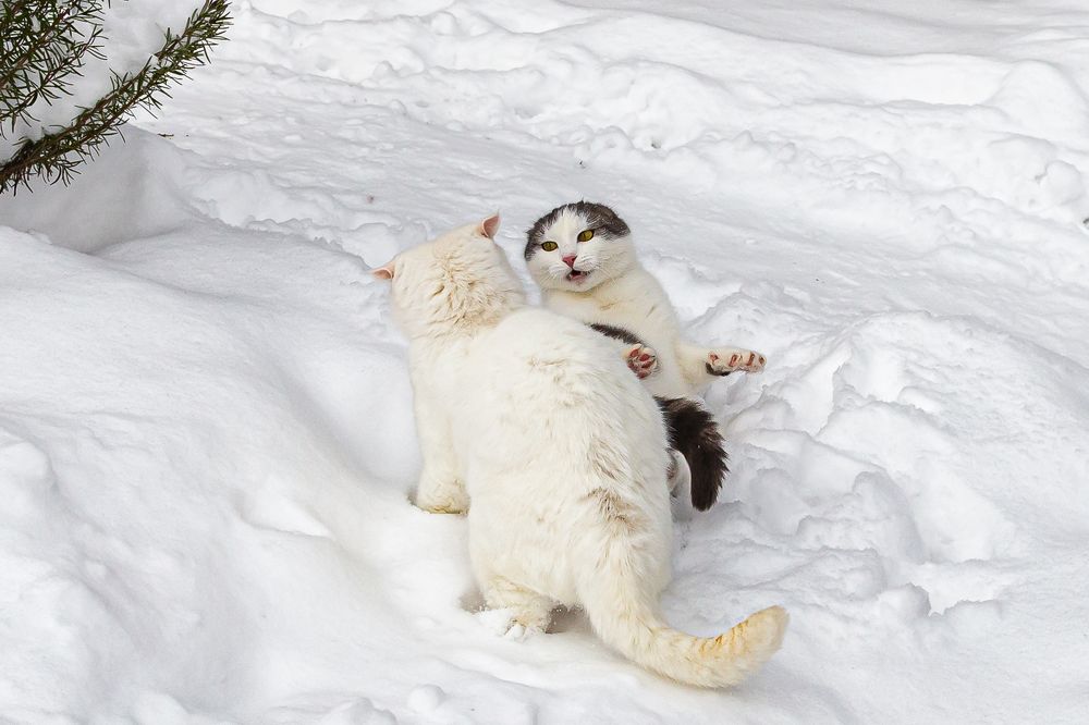 Photograph by Анатолий Мигов