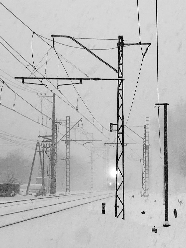 Фотография автора Юлия Яшина