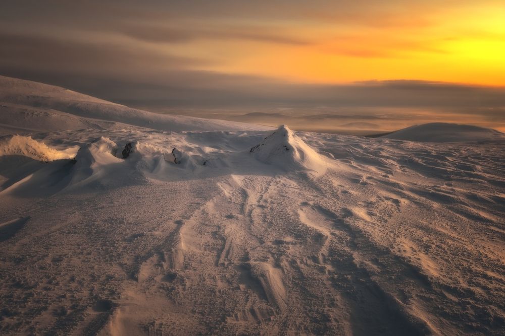 Photograph by Алексей Никонов