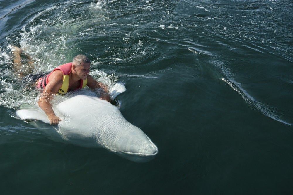 Photograph by Olga Martynenko