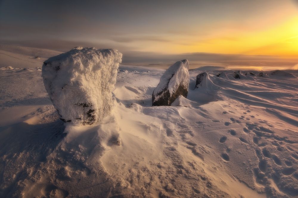 Photograph by Алексей Никонов