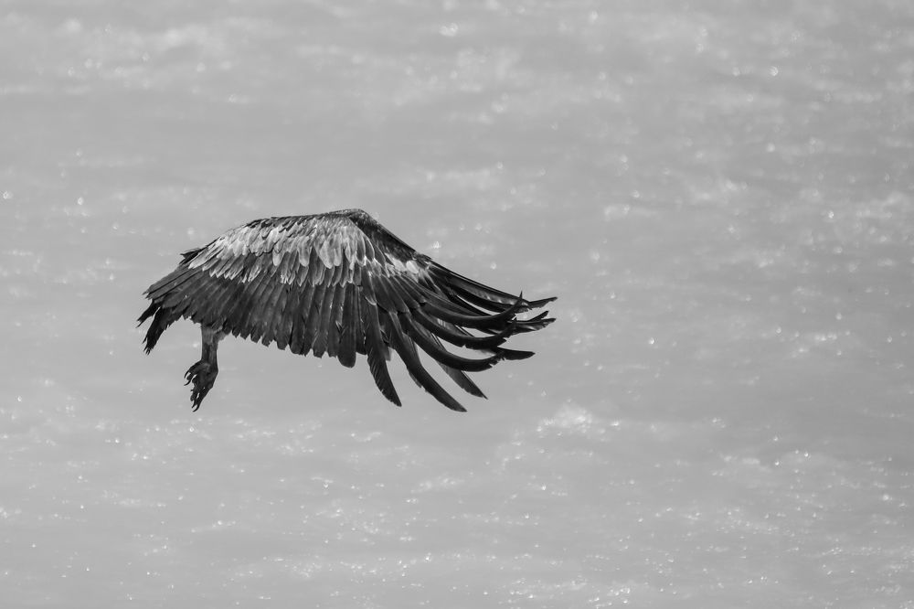 Photograph by Алексей