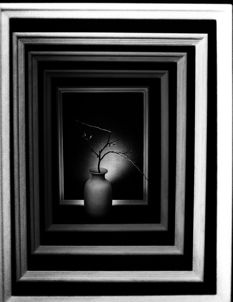 Photograph by Шабышева Антонина Михайловна