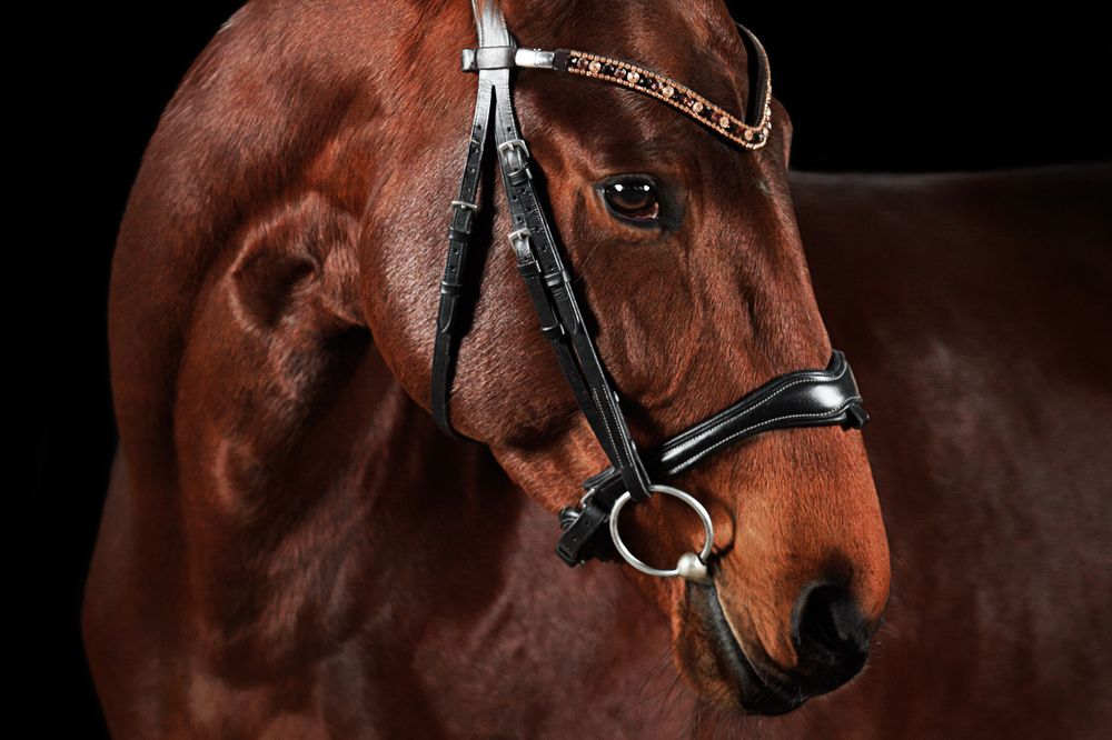 Photograph by Дарья Ералева