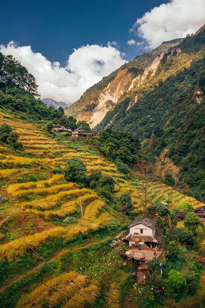 Photograph by Tomislav Safundžić