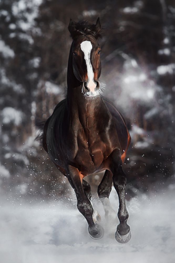 Photograph by Дарья Ералева