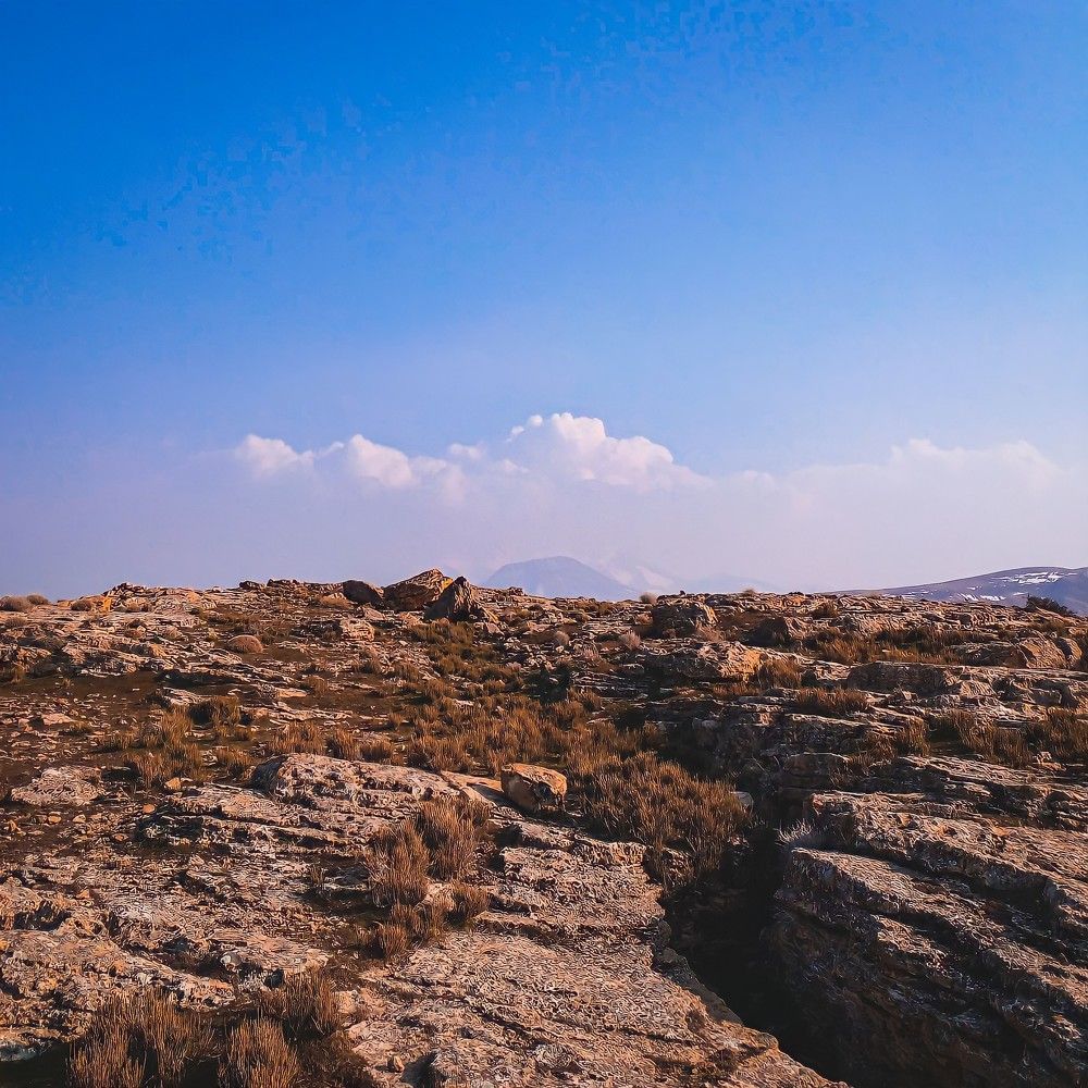 Photograph by Reza Mehdipoor