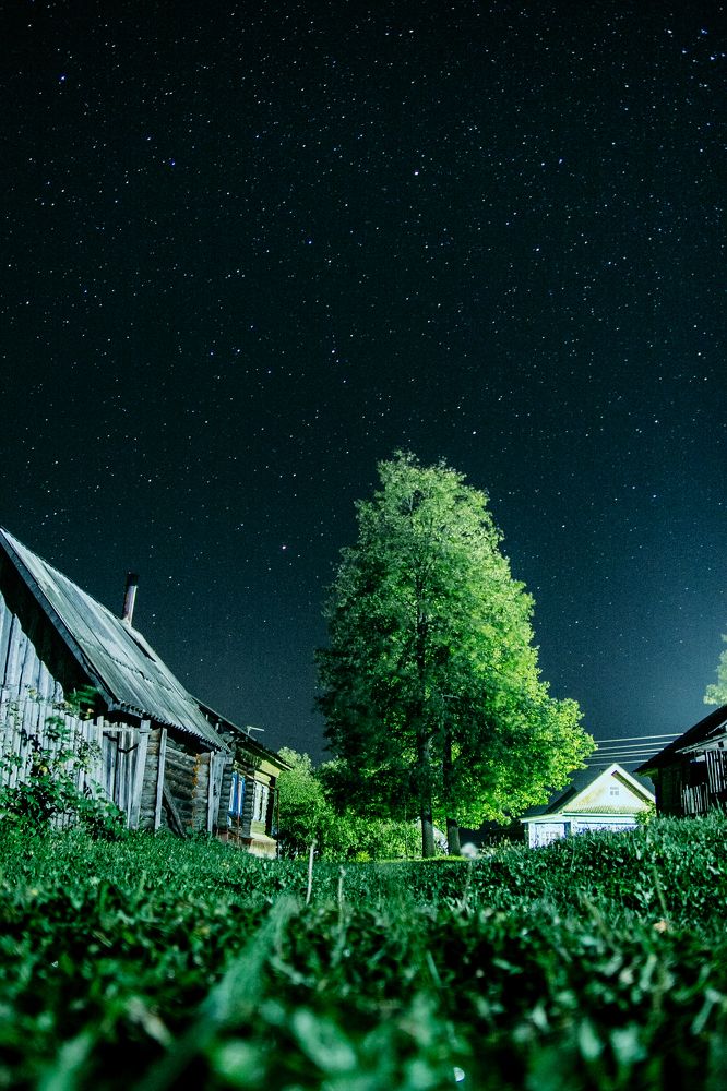 Photograph by Артем Нужин
