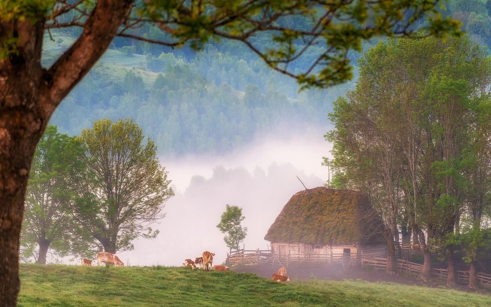 Photograph by Liviu Ciprian Hiticas