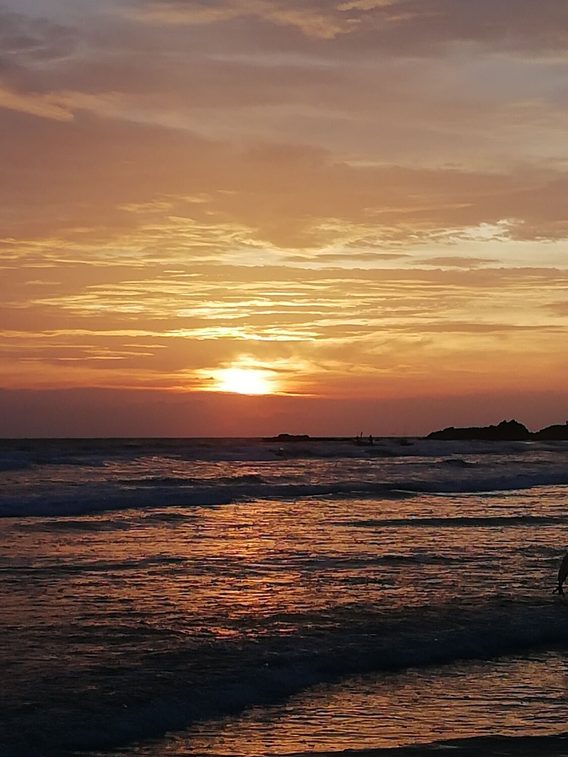 Photo #10304344