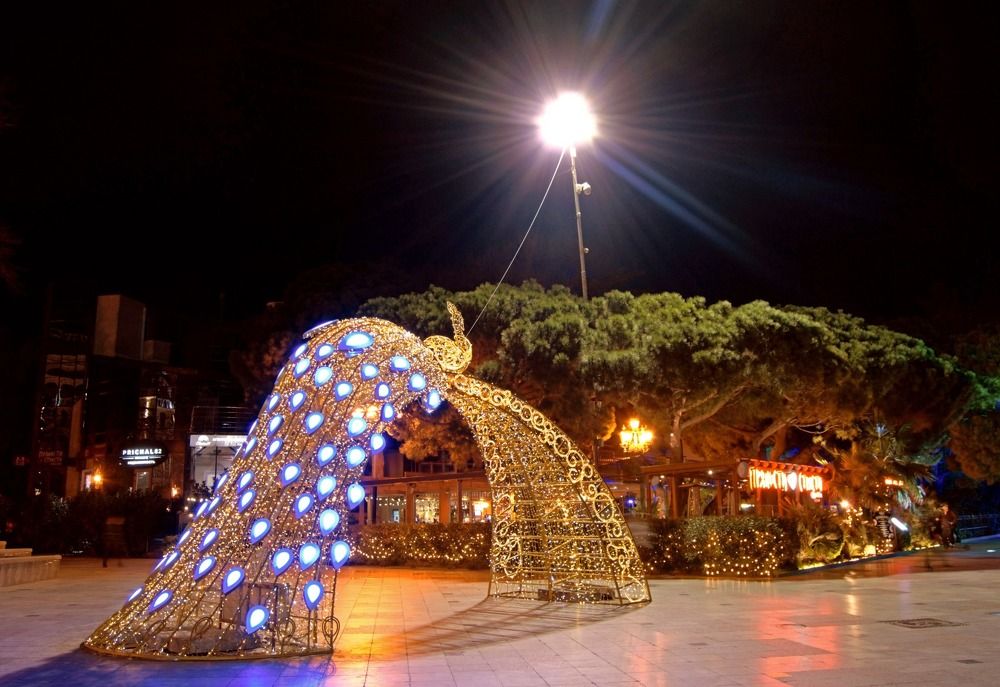 Photograph by Olga Martynenko