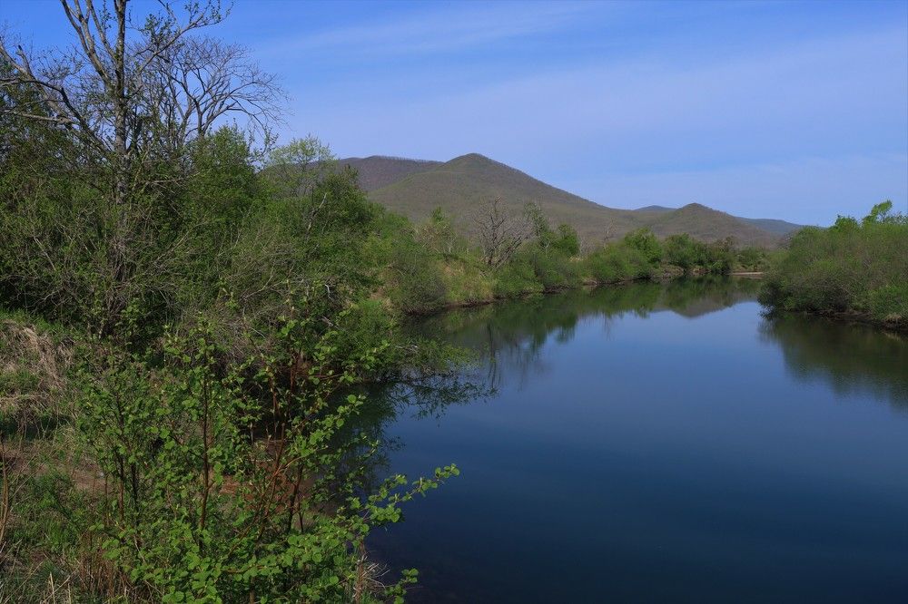 Photograph by Нина Ларина